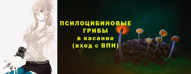 Галлюциногенные грибы Cubensis  Мыски 